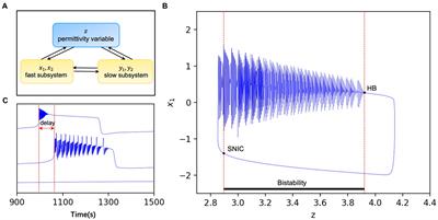 The distribution and heterogeneity of excitability in focal epileptic network potentially contribute to the seizure propagation